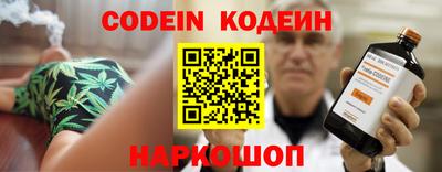 ешки Кингисепп