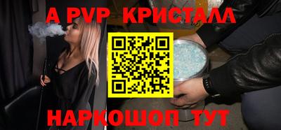 ешки Кингисепп