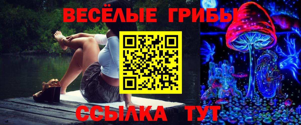 Псилоцибиновые грибы GOLDEN TEACHER Чита