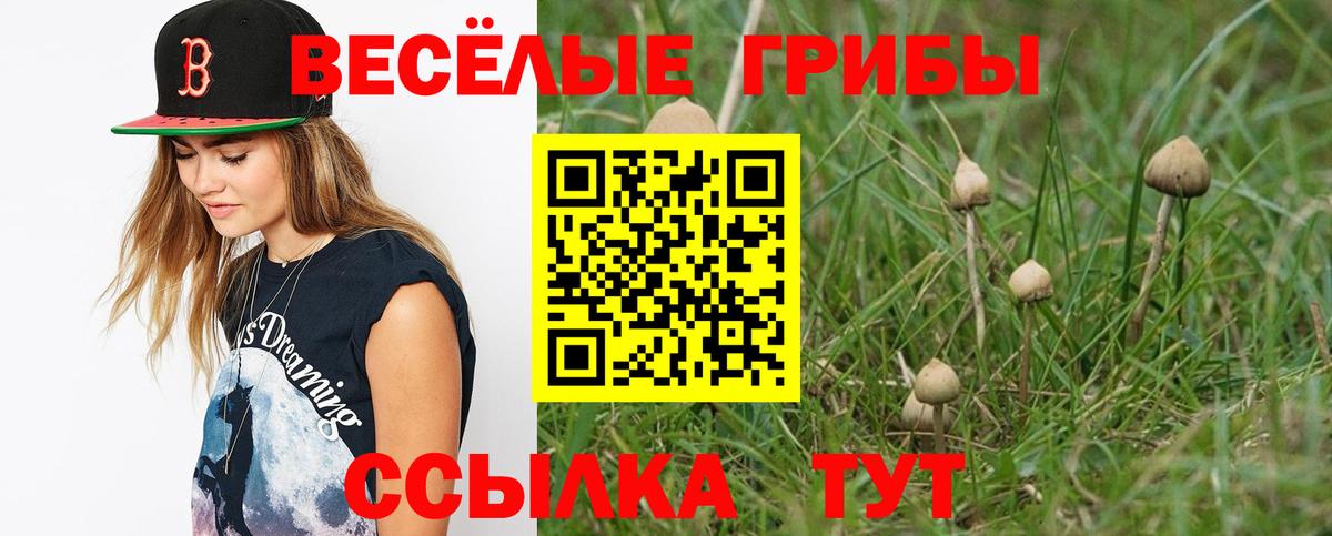 где найти   Галлюциногенные грибы MAGIC MUSHROOMS  Вход с VPN  Чита  Псилоцибиновые грибы MAGIC MUSHROOMS 